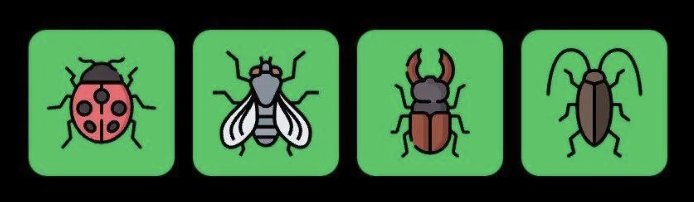 FLIES Daily Combo 10 June 2025